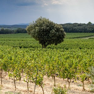 Languedoc - Les Terres D'Hachene